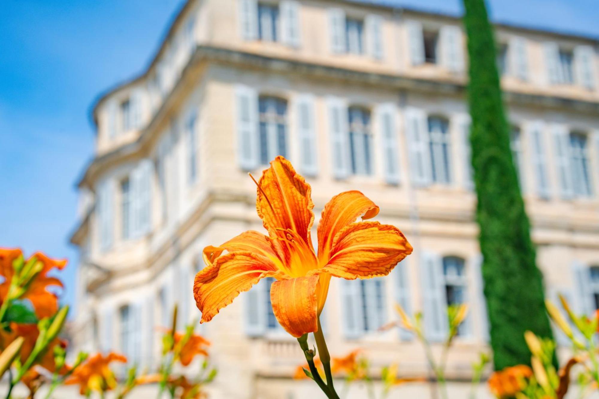Chateau De Mazan, BW Premier Collection By Best Western 外观 照片